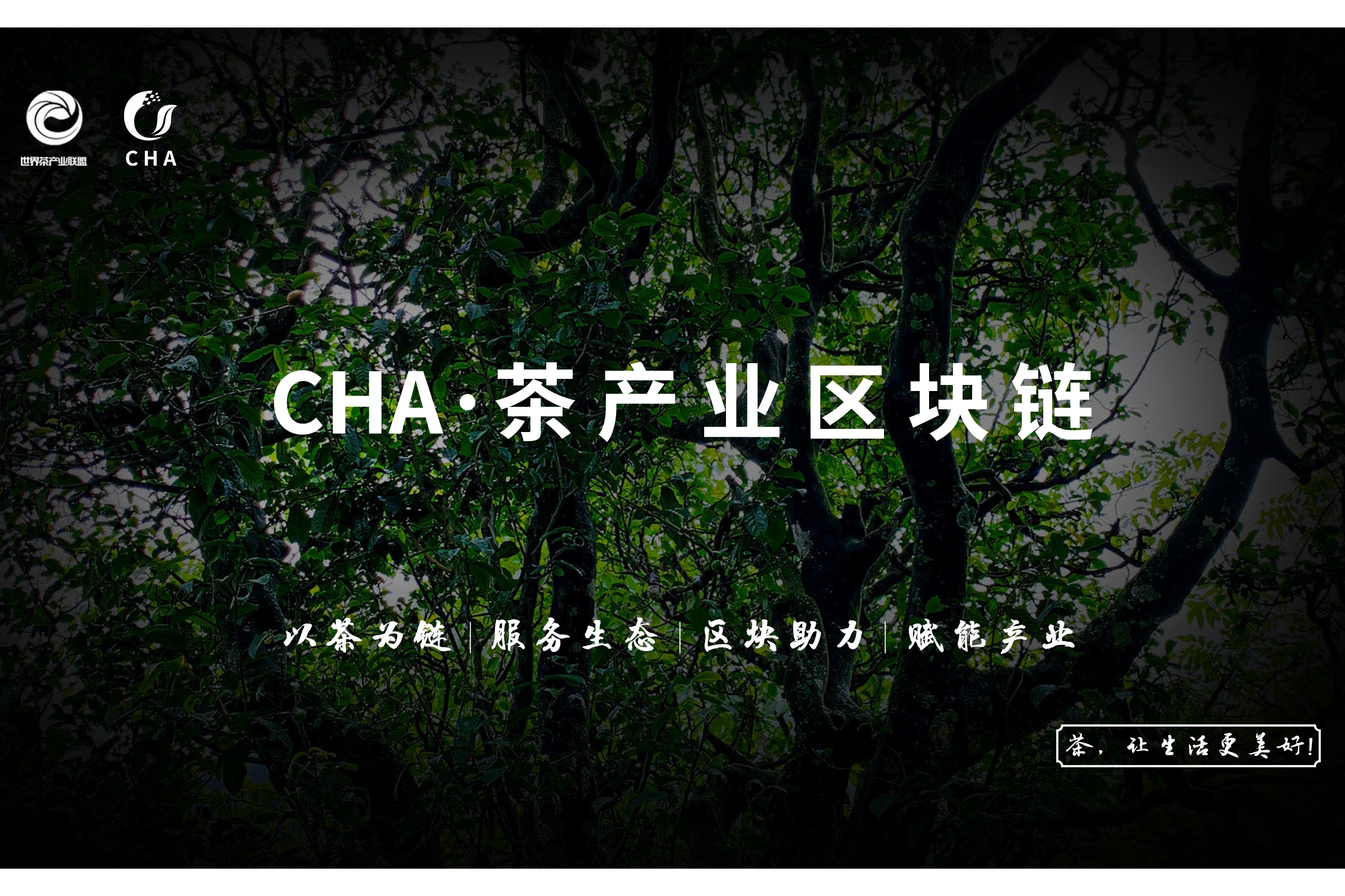 区块链技术赋能传统行业引发投资热潮，技术创新推动变革。的简单介绍