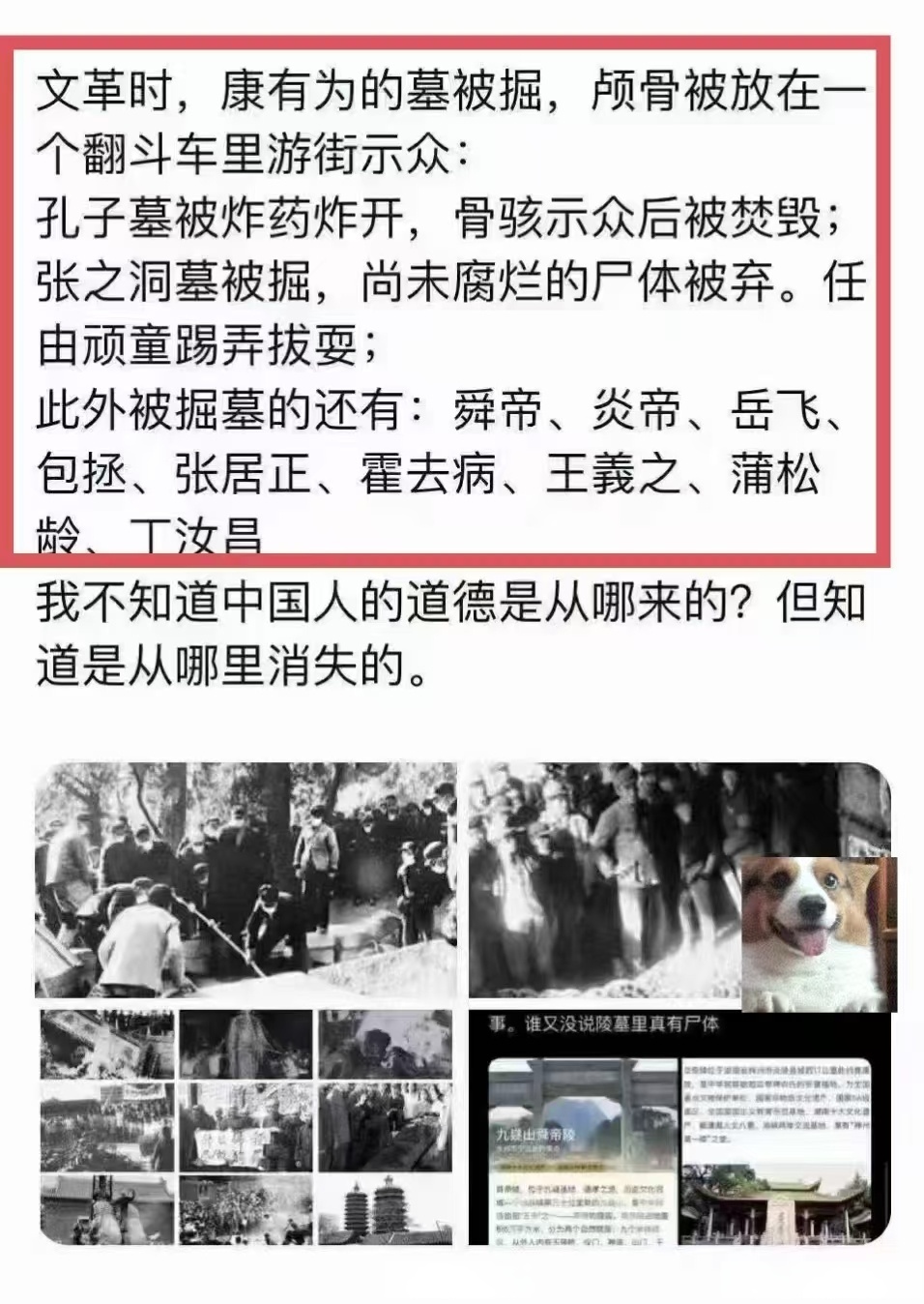 平博下载-SHIB骗局案件遭曝光，已有超220人被骗！，震惊市场-平博下载